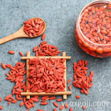 Quả goji hữu cơ hàng đầu với Vitamin C